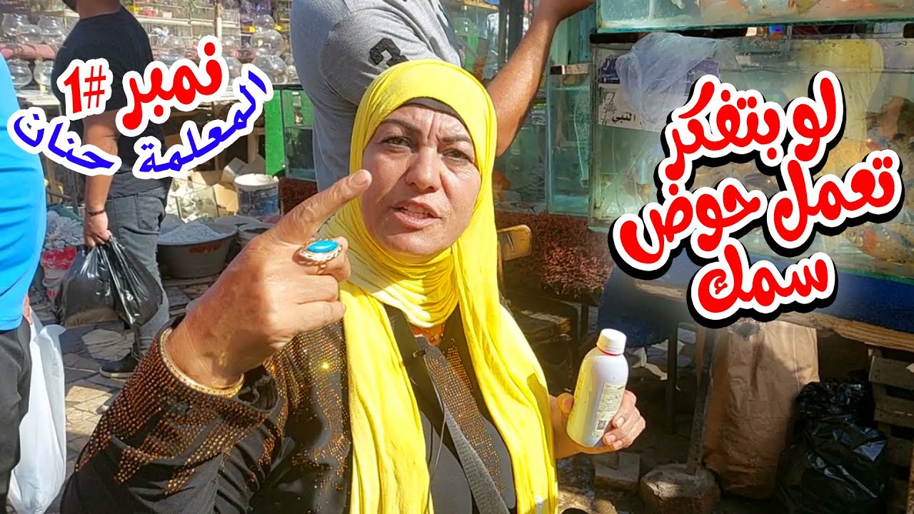 المعلمة حنان كينج فيش من داخل سوق السيدة عائشة