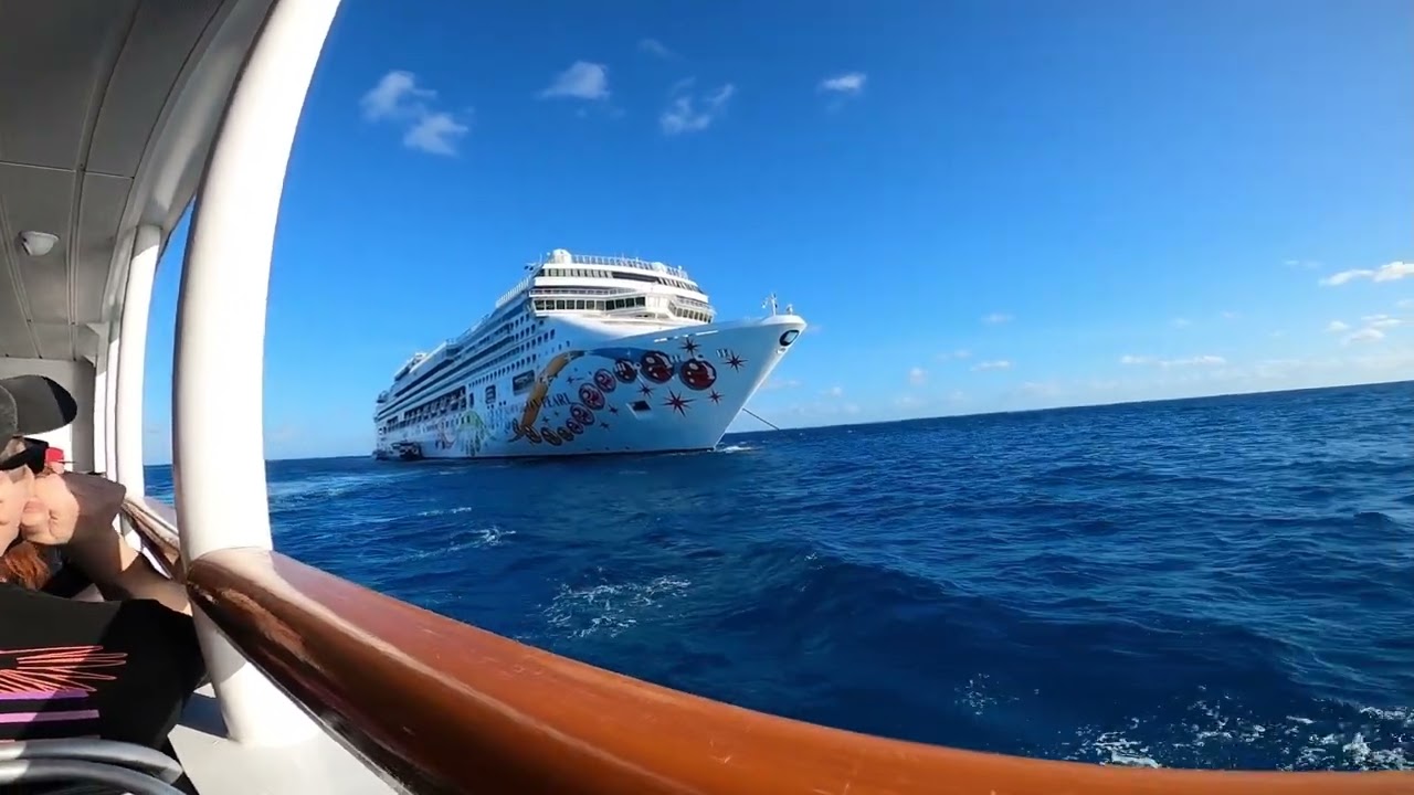 Emo's Not Dead Cruise 2024
