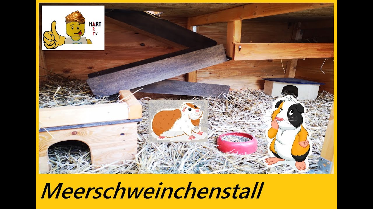 Meerschweinchenstall selber bauen