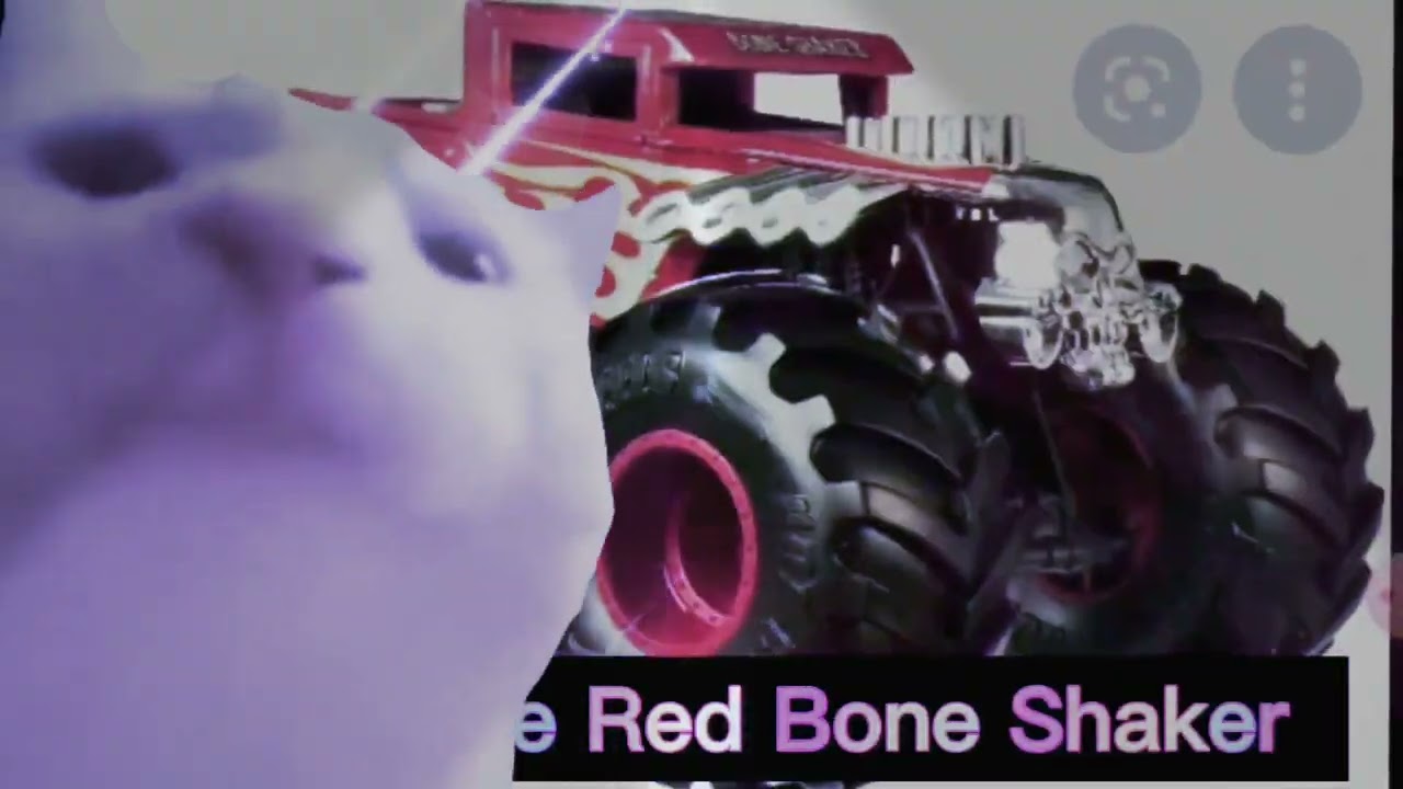 🐱 CAT VIBING To Bone Shaker Theme Song Remix!