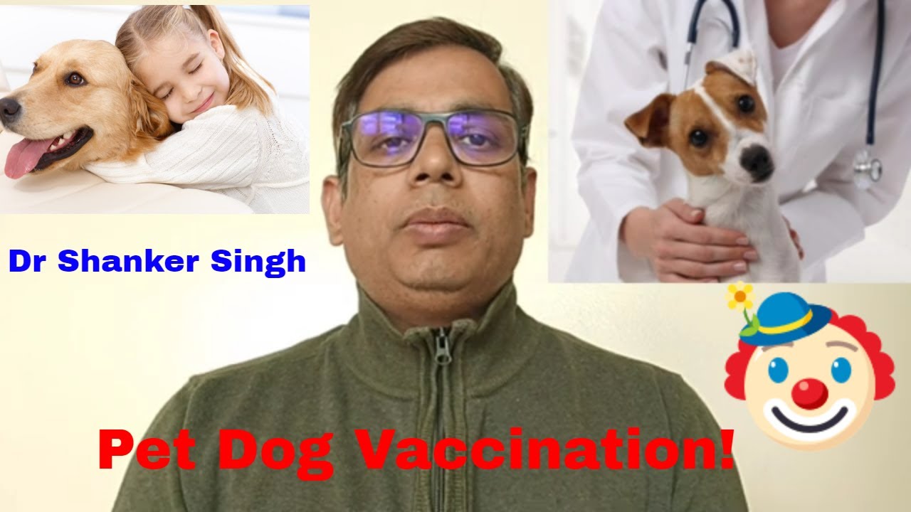 Pet Dog Vaccine ? Rabies Vaccine ? Dr Shanker Singh