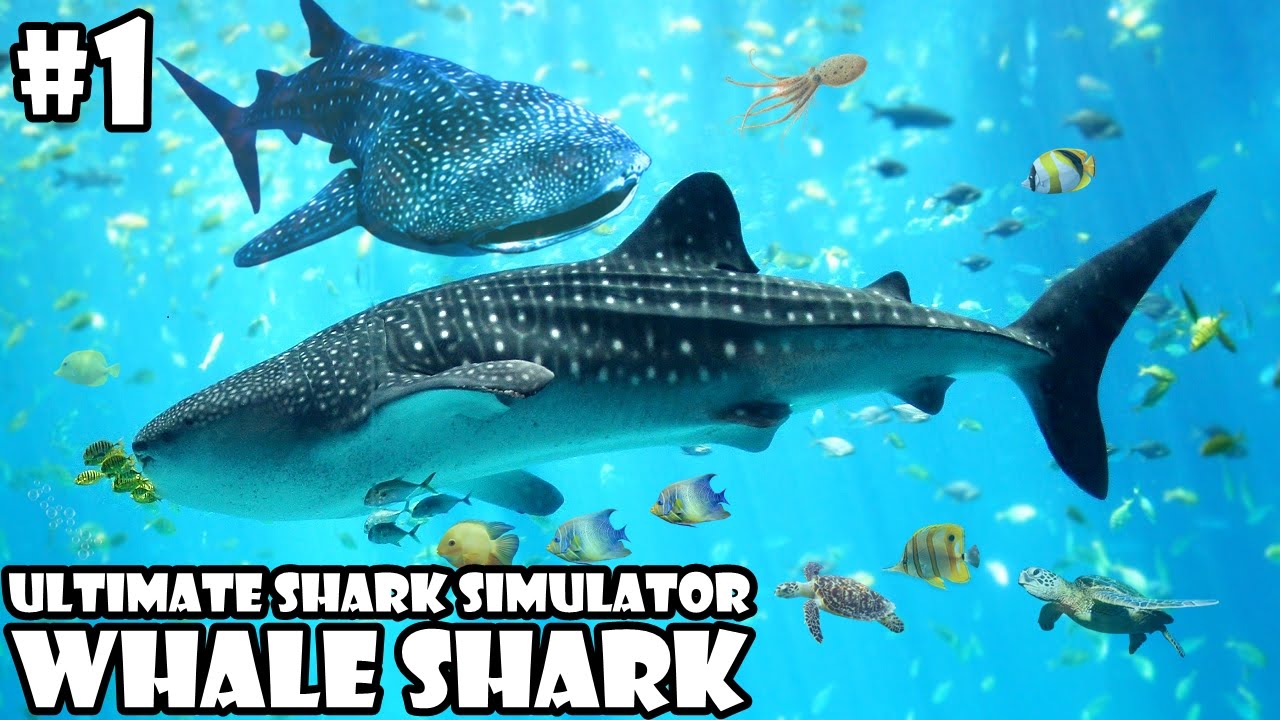Ultimate Shark Simulator -Whale Shark- Android/iOS - Gameplay Part 1