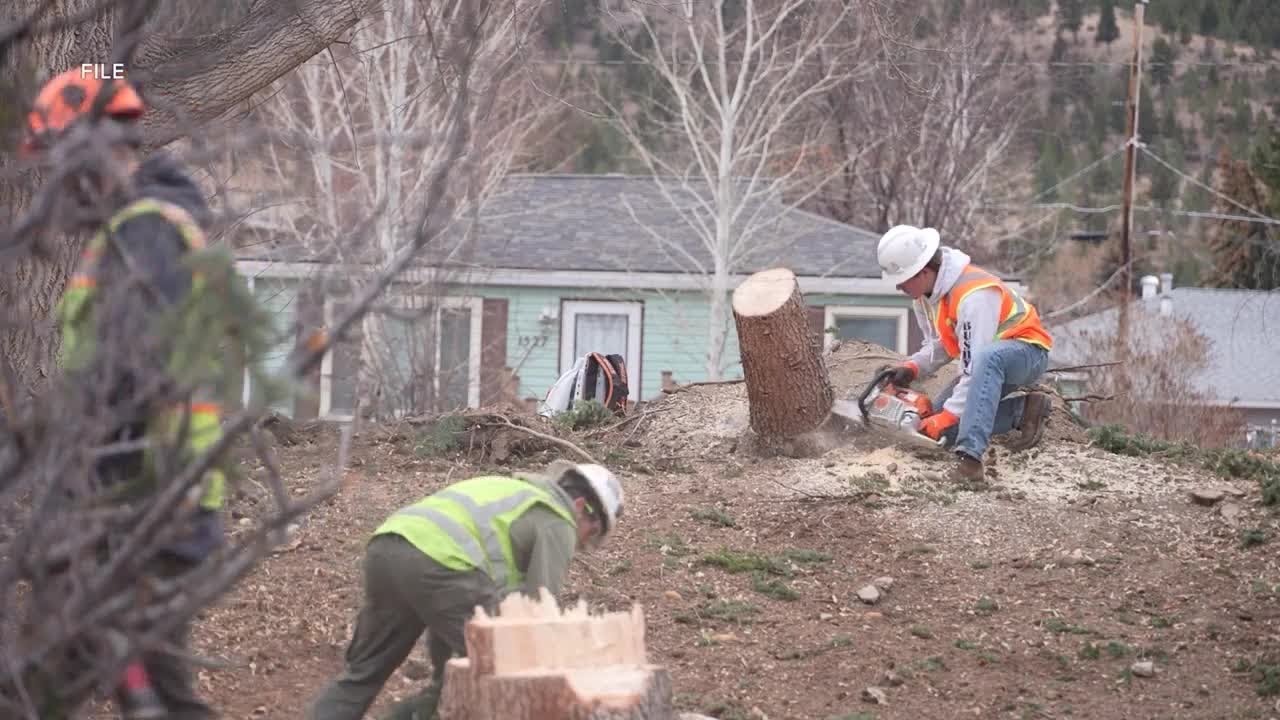City of Helena breaks down costs for damages from December's wind storm