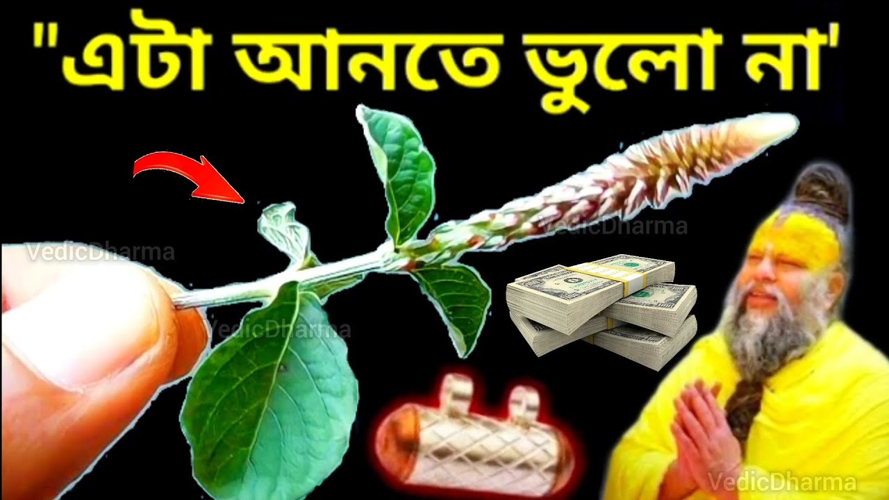 মঙ্গলবার এই প্রতিকারটি করলে টাকা চুম্বকের মতো আকর্ষণ করে, ৫০১% দারিদ্র্য দূর হয় || VedicDharma