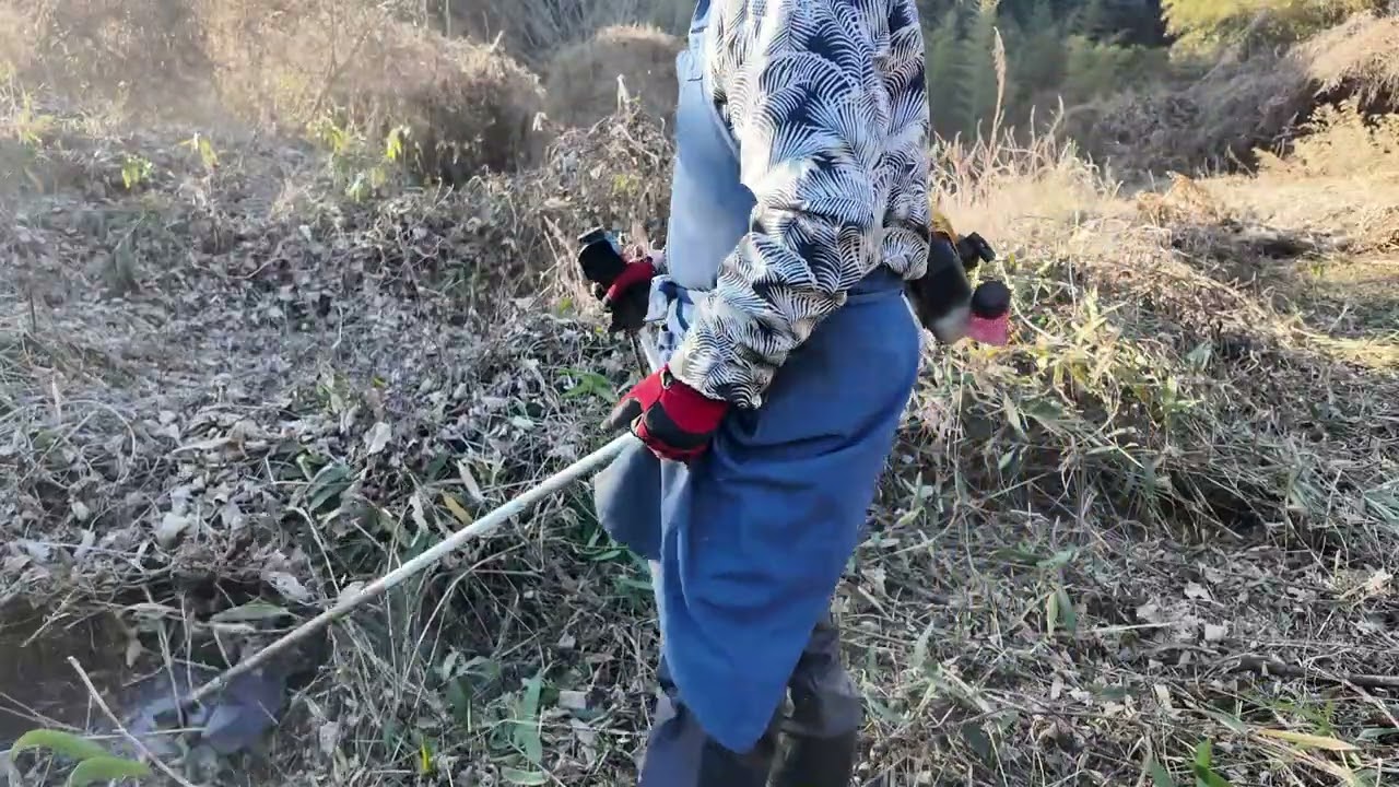 耕作放棄地西、25㏄エンジン草刈り機、3枚刃刈れるところまで