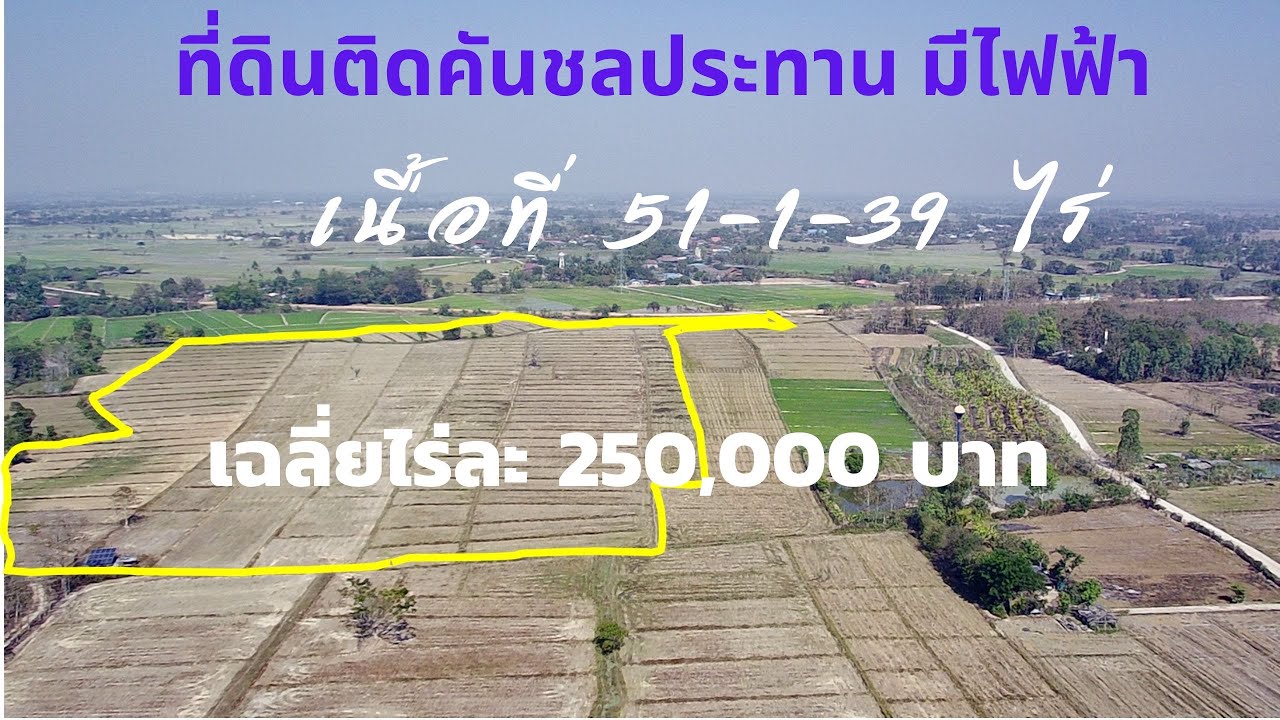 CR66005  ที่นาติดคันชลประทาน 51-3-19 ไร่ ขายไร่ละ 250,000 บาท ต.แม่เย็น อ.พาน เชียงราย