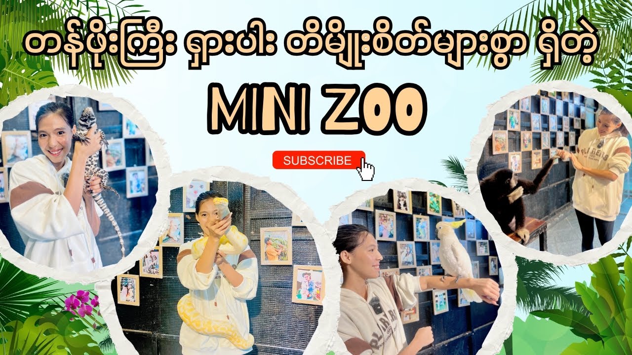 တန်ဖိုးကြီး ရှားပါး တိမျိုးစိတ်များစွာရှိတဲ့ Mini Zoo