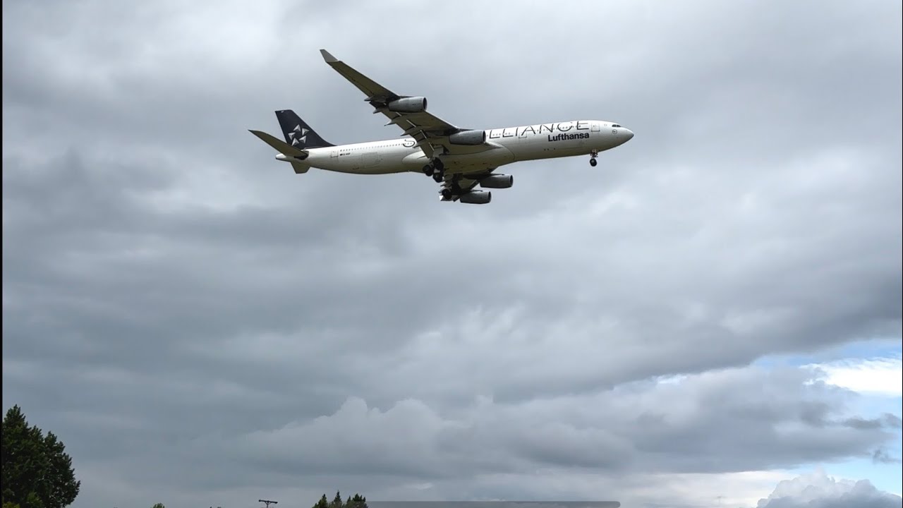 Plane Spotting at Detroit Metro Airport 9/24/25 