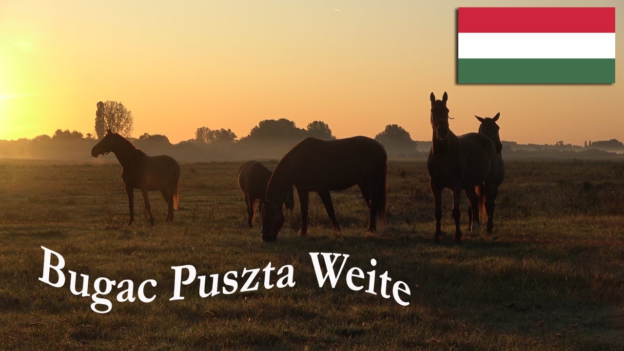 Bugac Puszta