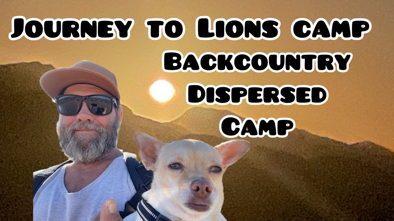 Путешествие в лагерь Лайонс (Lions Camp) в дикой местности #кемпинг #зимнийкемпинг #палаточныйкем...