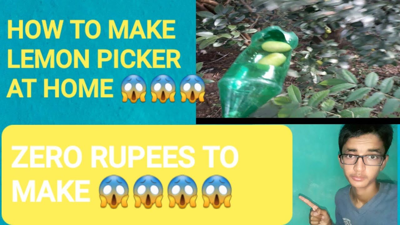 HOW TO MAKE LEMON PICKER AT HOME 😱😱😱😨😨😨 FOR BINOD