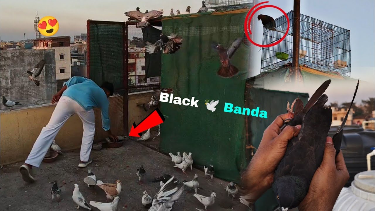 Banda 🤫 !! Ise To Bde 🕊️Aaram Se Pkd LiYa 🤪