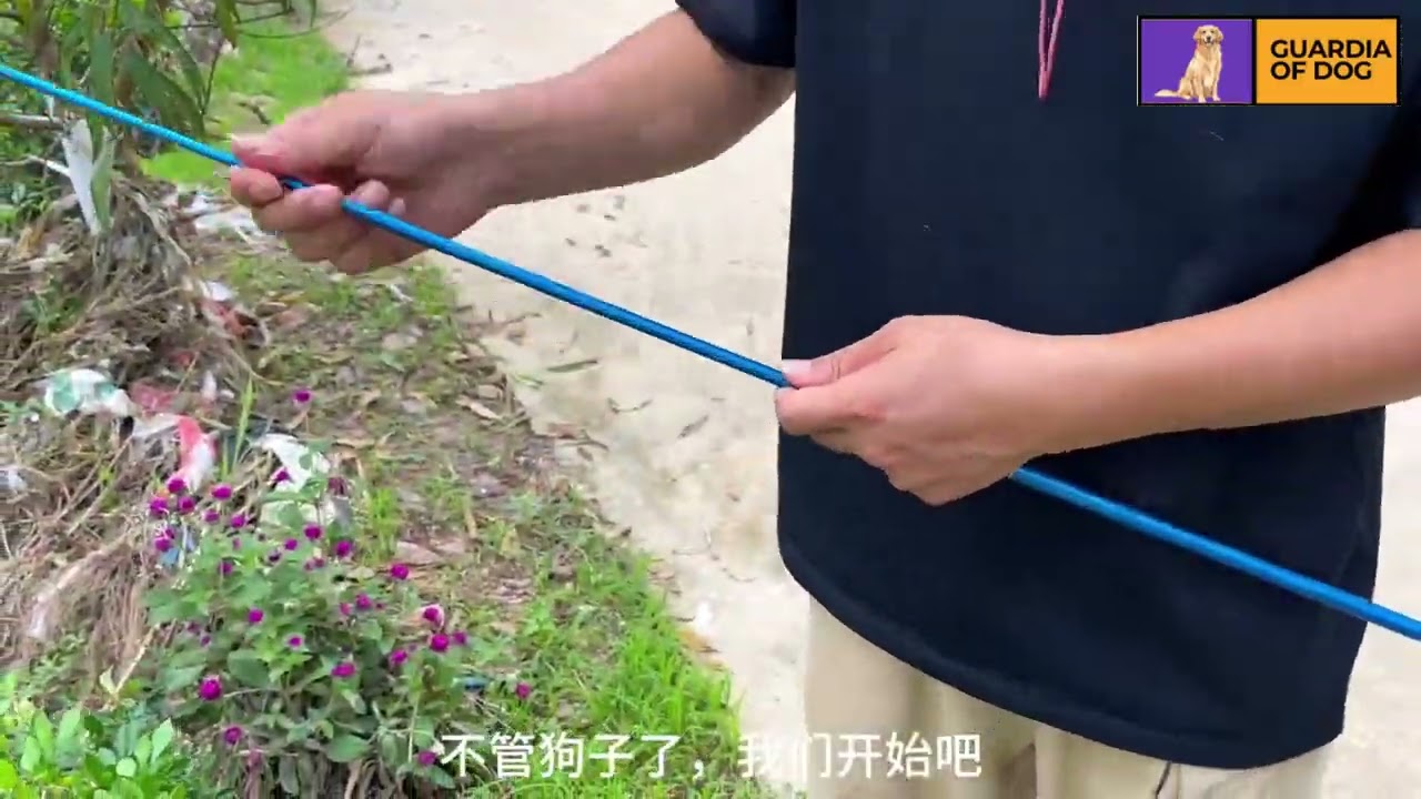 Fishing with My Dog is SUPER Fun You Won't Believe What Happens