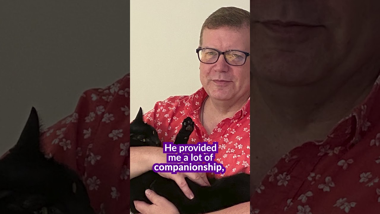 The Science Behind Emotionally Supportive Animals: How They Help Us Heal  #shortsyoutube #emotional