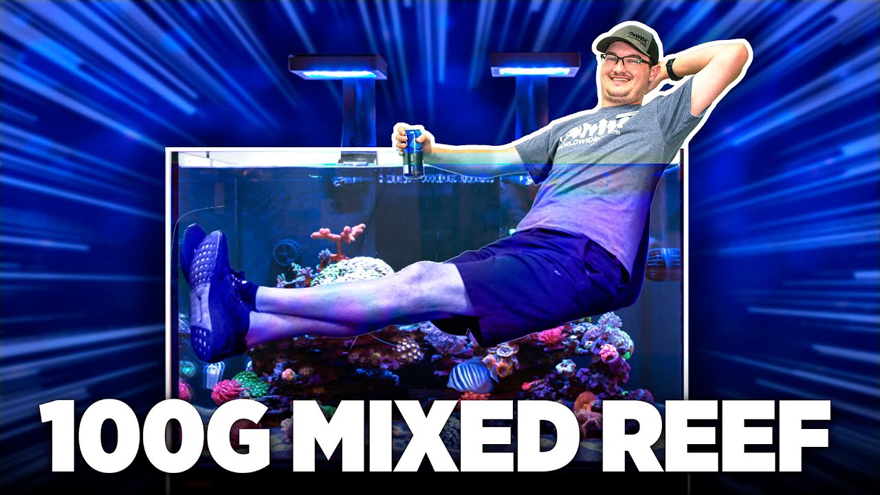 Awesome 100 Gallon Mixed Reef [4K]