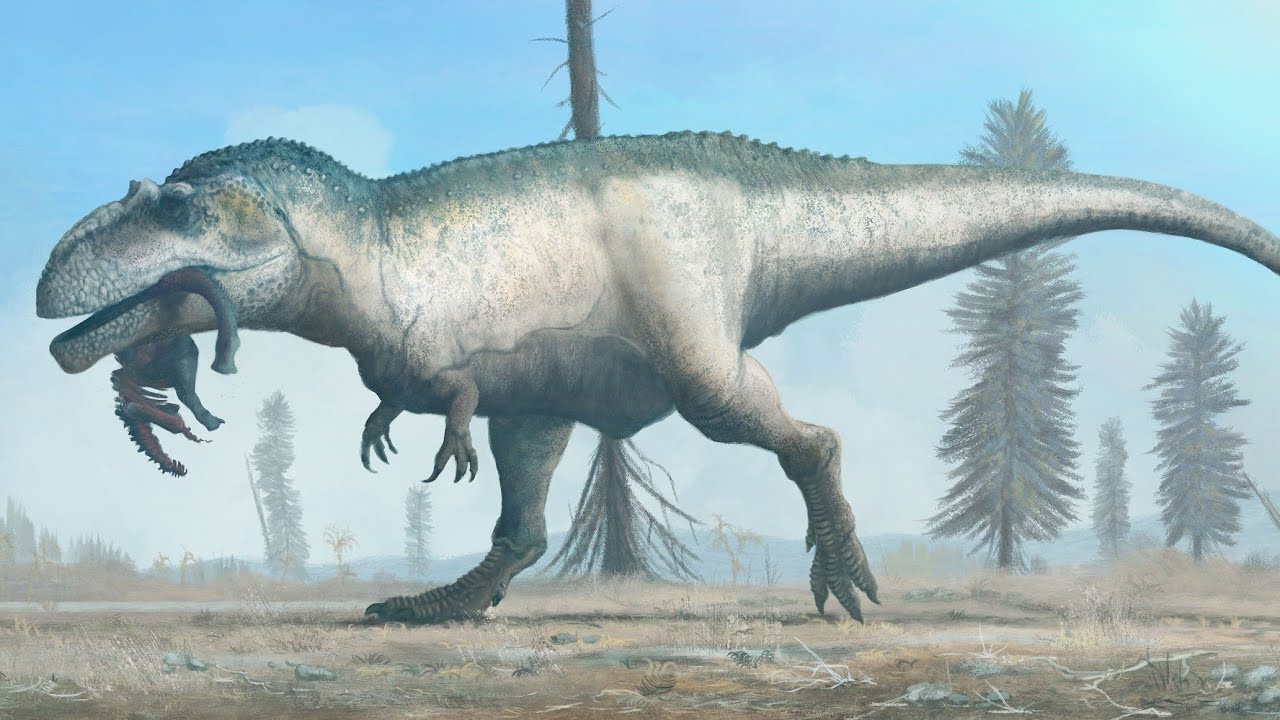 Paleoarte : Mark Witton