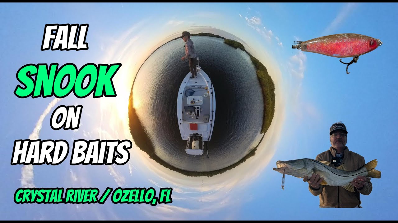 Crystal River Fishing for Snook in Ozello, Florida