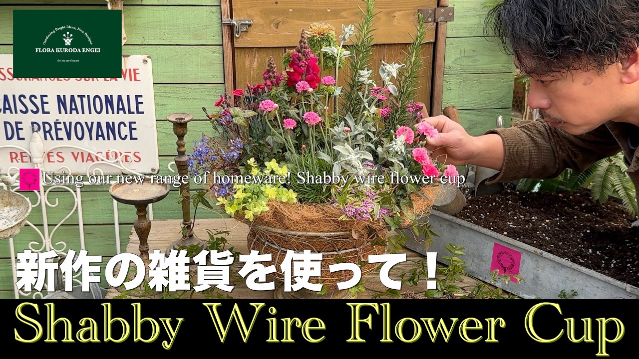 【Shabby Wire Flower Cup】新作の雑貨を使って！「春のガーデニング」-フローラ黒田園芸- #ガーデニング #園芸 #寄せ植え 