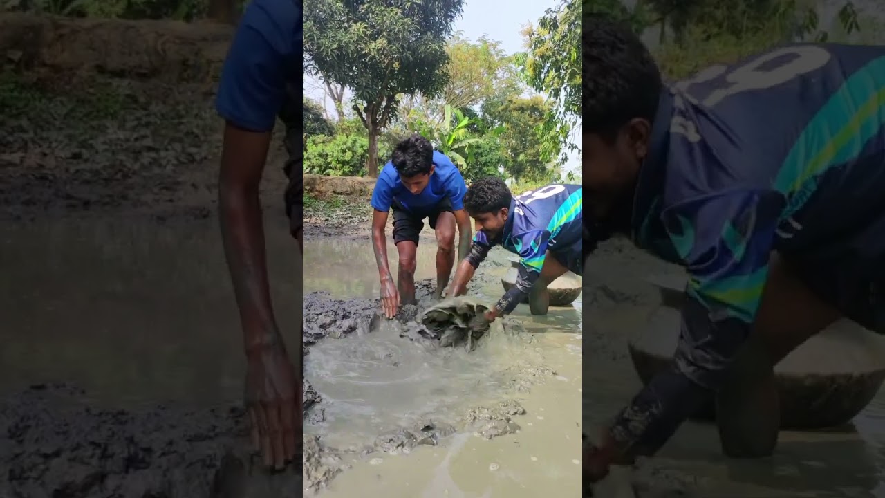 Baie groot visse is ook in die dam gesit.#fishing #vlogwithsohelvillagelifestyleinbangladeshbeautifu