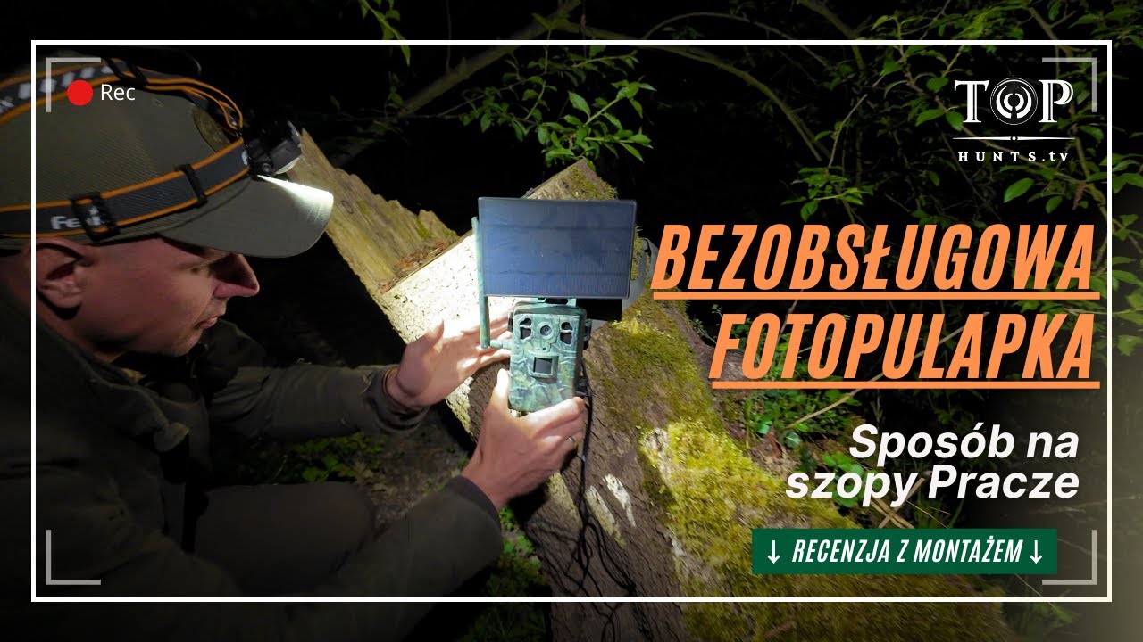 Czy fotopułapki są skuteczne w łowiectwie? Test fotopułapki Top Hunt H6 z panelem solarnym.