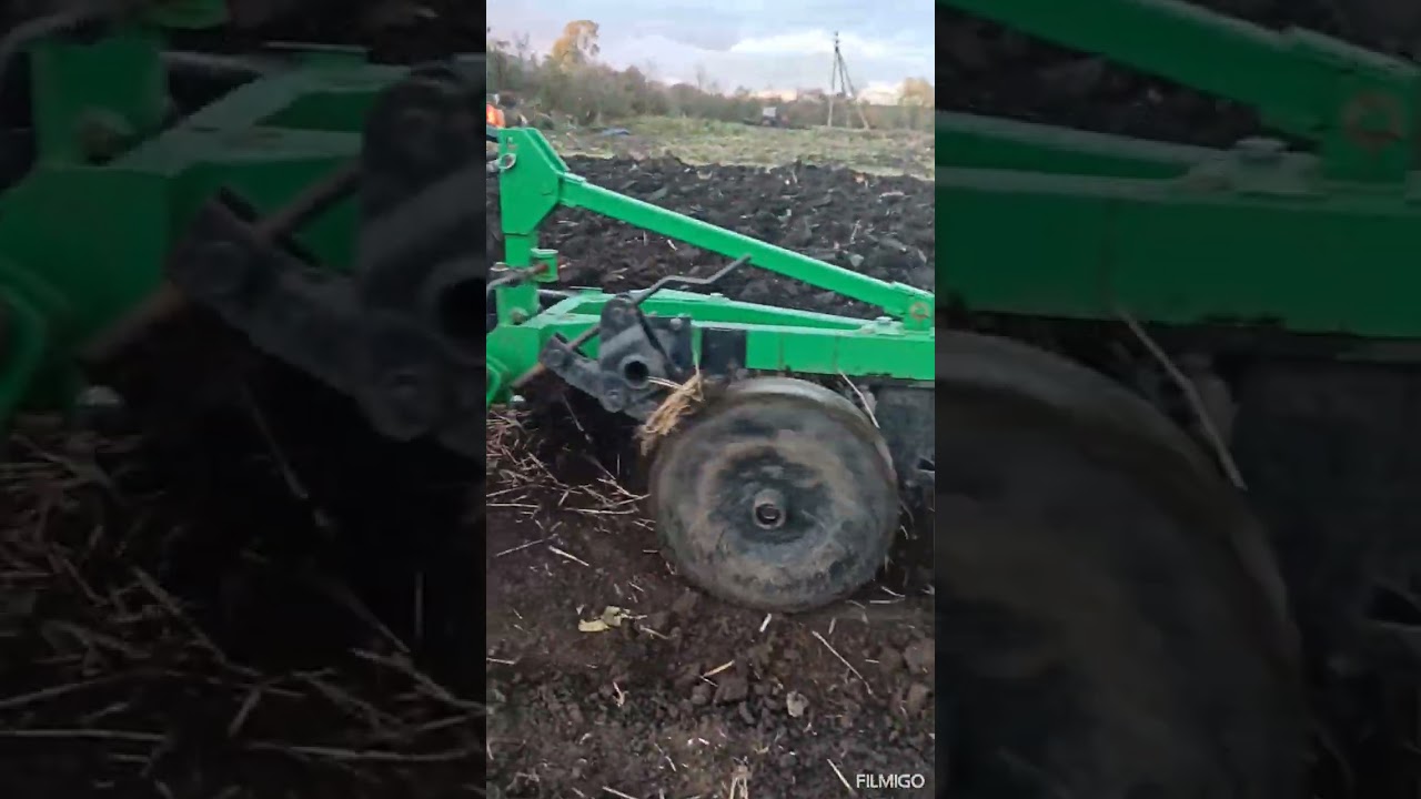 Оранка в разгарі.