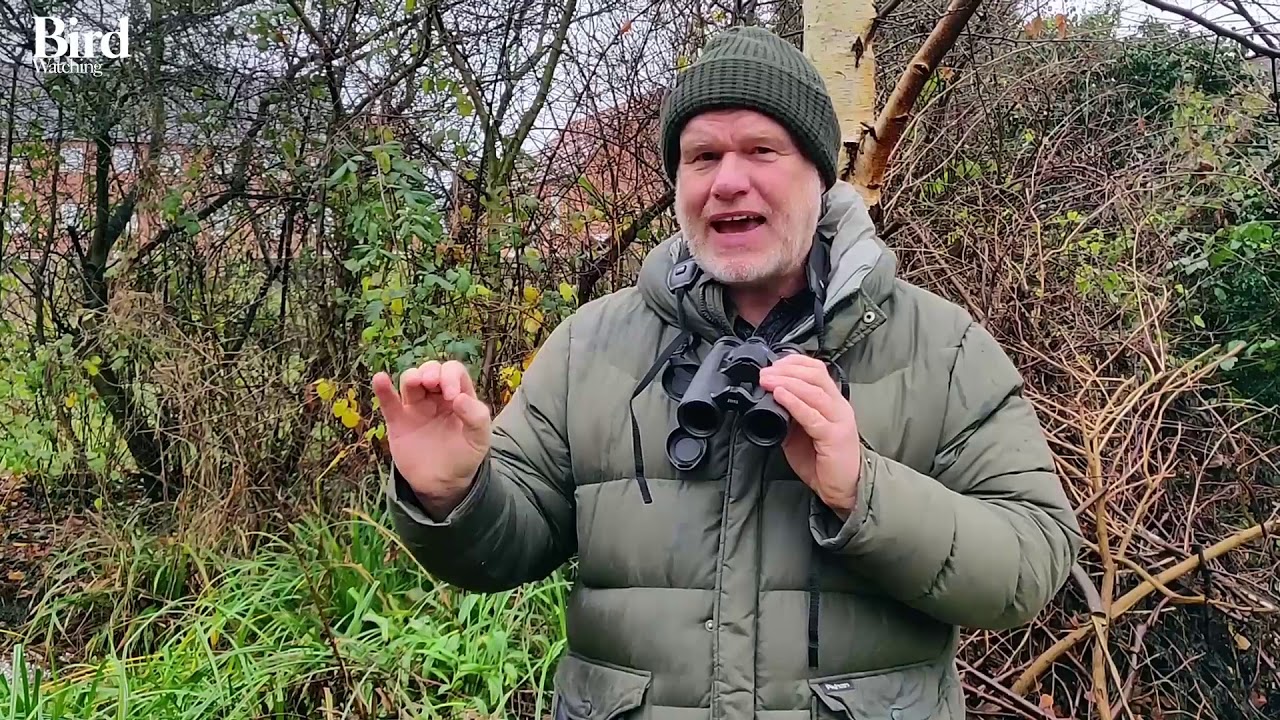 Bird Watching's Mike Weedon gives his impressions of Zeiss SF 8x32 binoculars