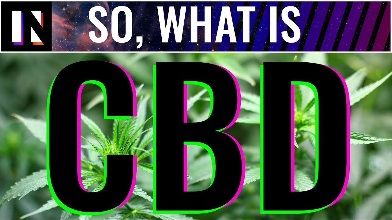 CBD Benefits Easily Explained | Inverse