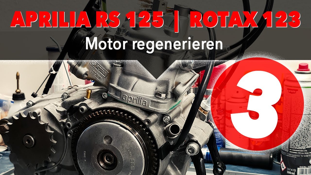 Aprilia RS 125 Regenerierung ROTAX 123 Teil 3