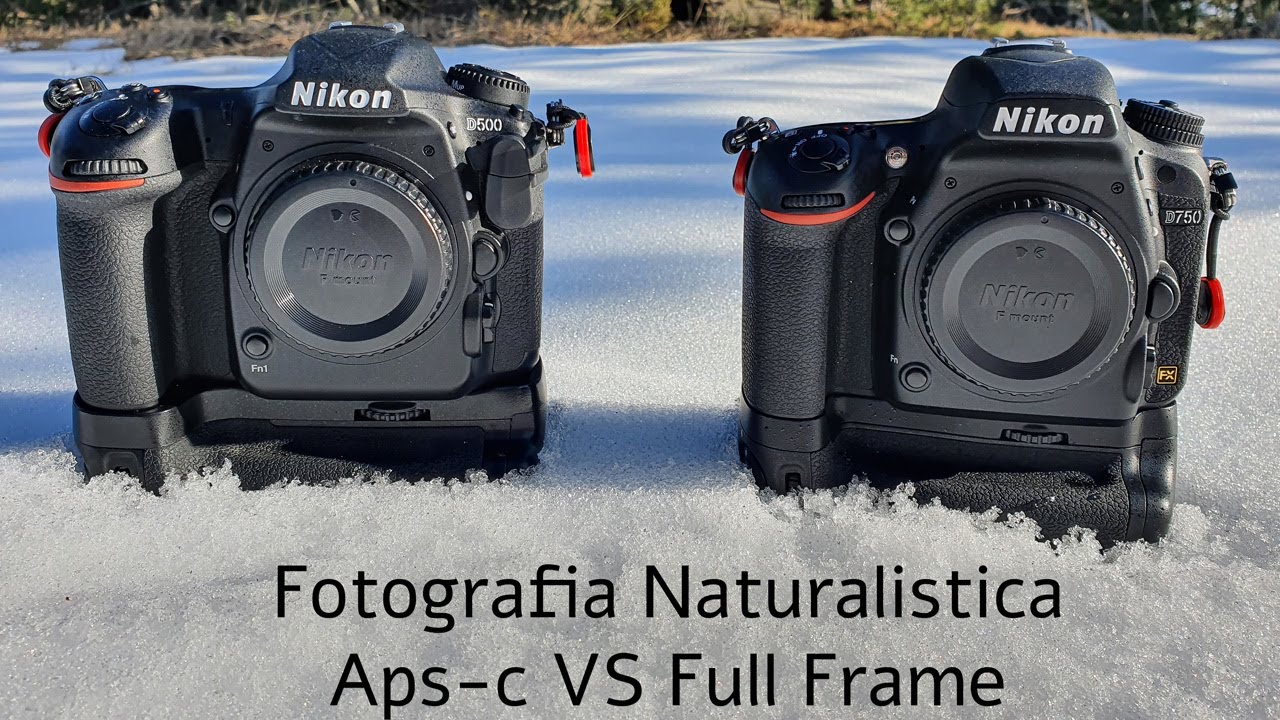 Fotografia Naturalistica - Aps-c vs Full Frame | Quale scegliere e perché