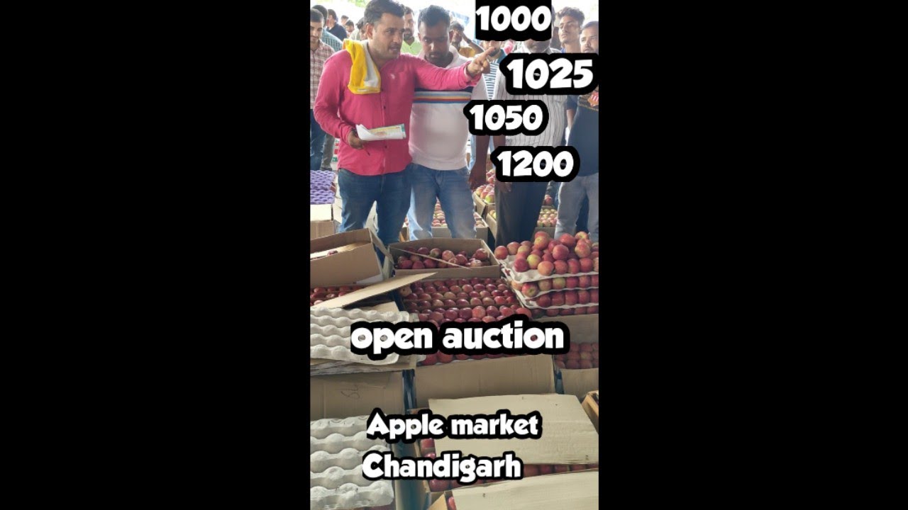 open auction | Apple fruit mandi (market) in Chandigarh | apple fruit  mandi (market) in panchkula