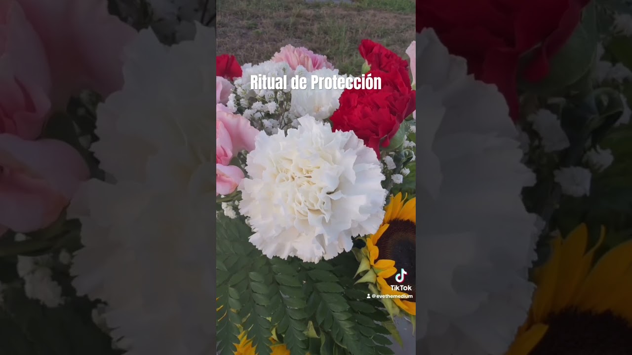 Ritual de Protecci&oacute;n