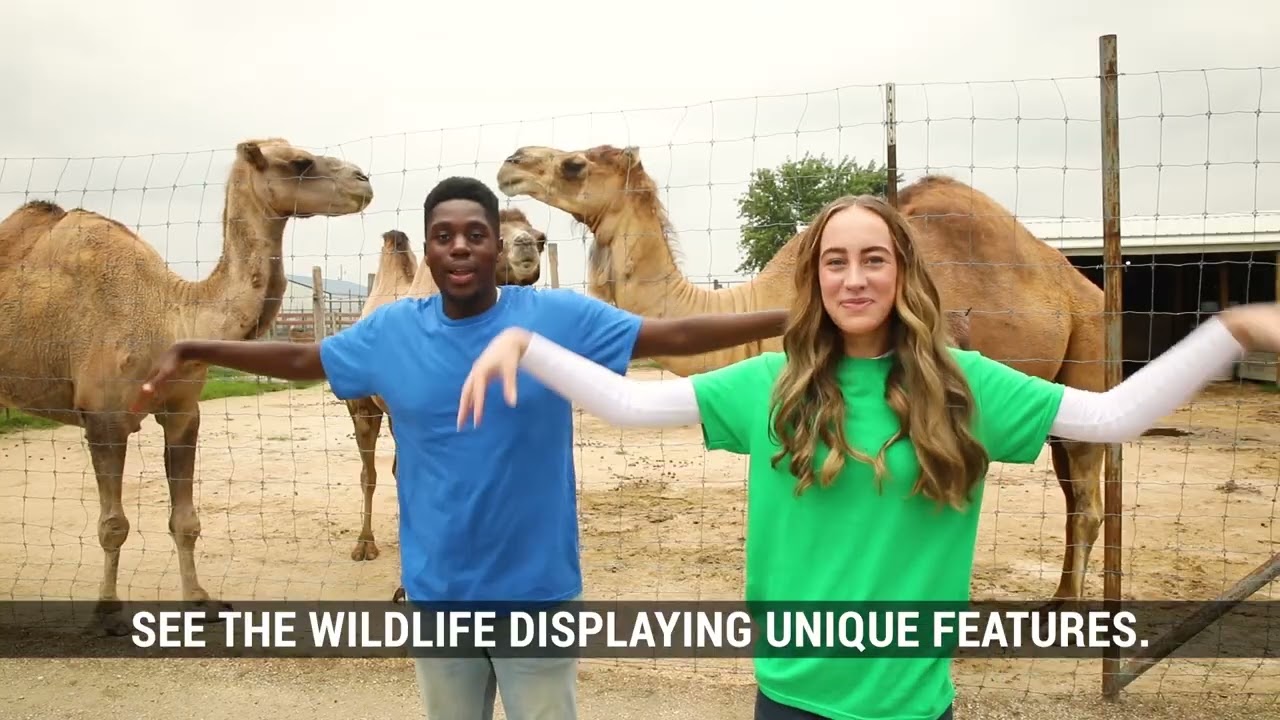WildLIVE! Worship Video Instrumental Sample