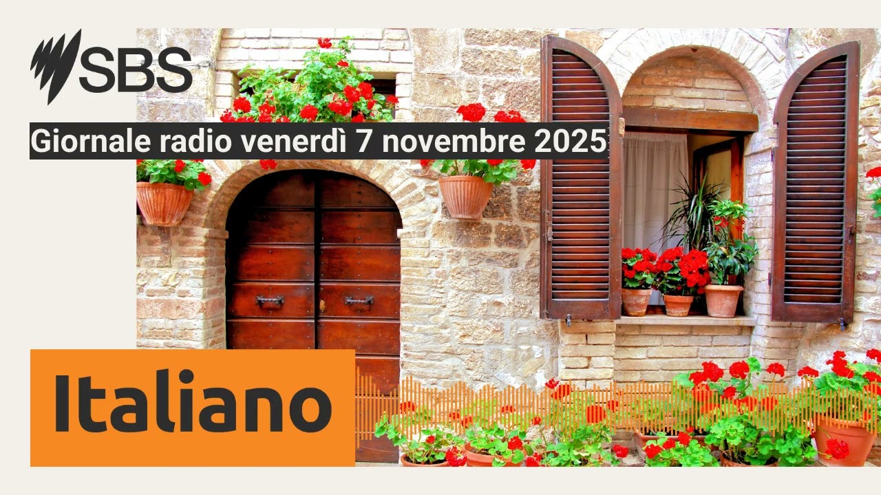 Giornale radio venerd&igrave; 7 novembre 2025 | SBS Italian - SBS in Italiano