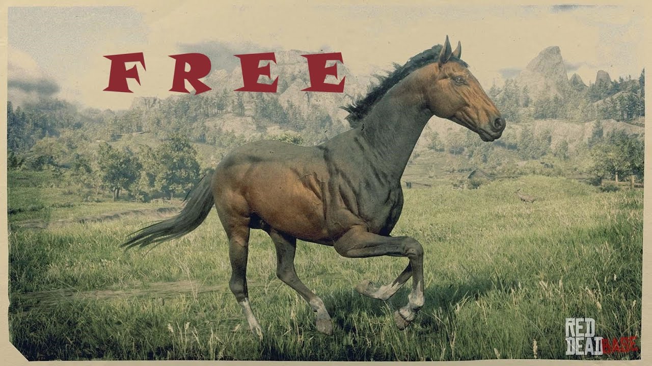 Free Turkoman chapter 3 still works! Braithwaite glitch rdr2 2022 Horse flesh for dinner