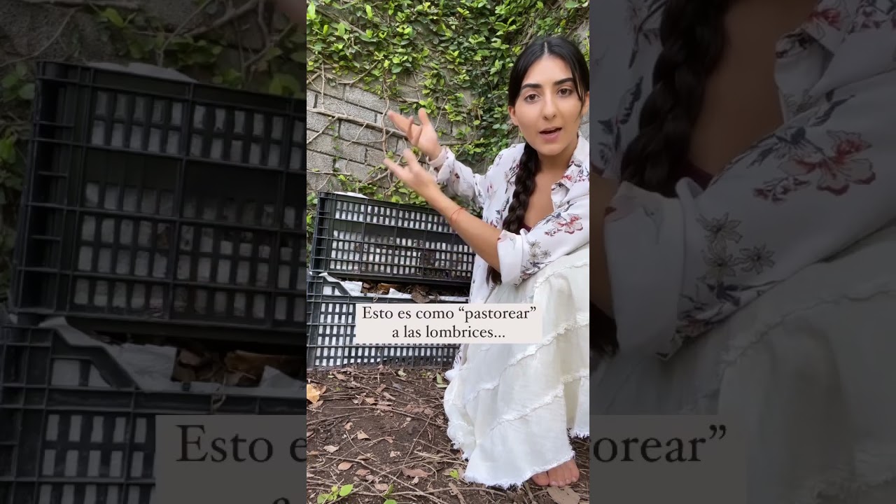 COMPOSTERO 100% GRATIS / c&oacute;mo hacer composta #shorts #composta