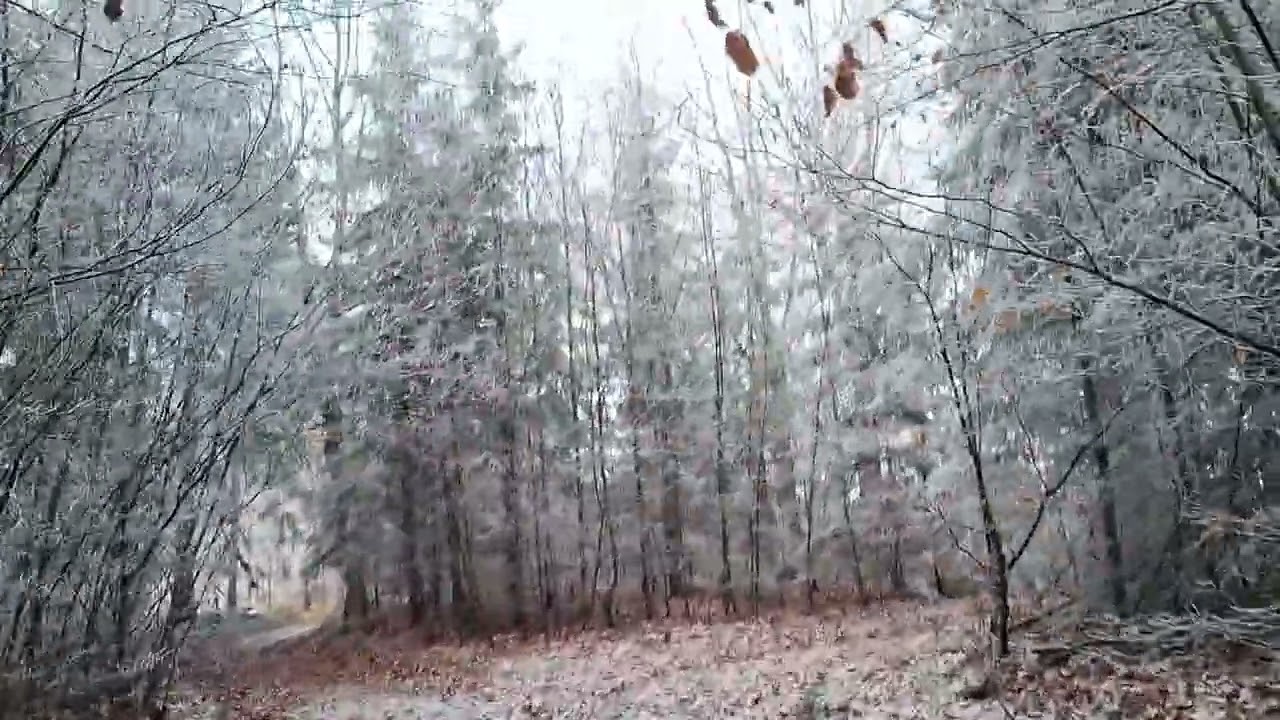 Frost
