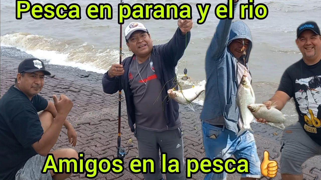 Pescon en la playita de olivos .calle parana y el río.#suscribite 