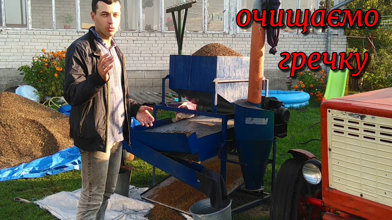 Зібрали врожай гречки тепер потрібно обвіяти.