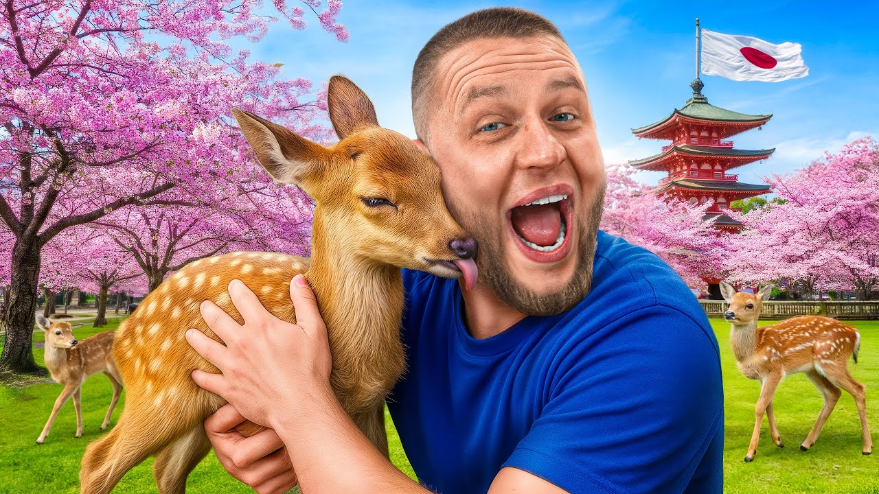 VLOG JAPONIA E2 # WYPRAWA DO OSAKI/KYOTO