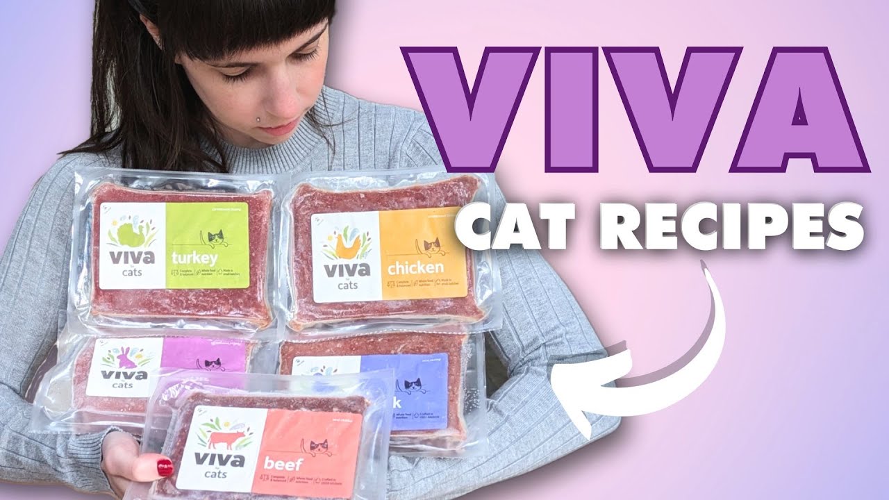 Полный рецепт Viva Raw для кошек — обзор сыроедческого корма