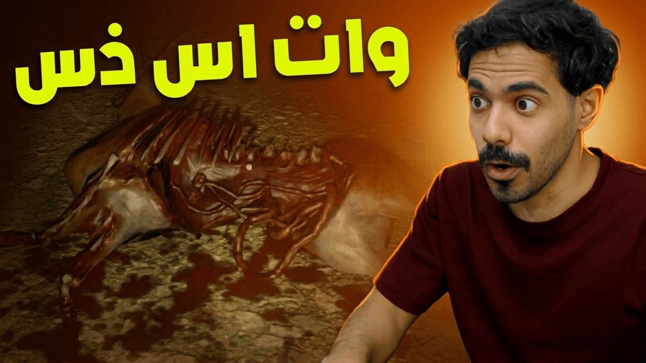 المفروض اني احميهم