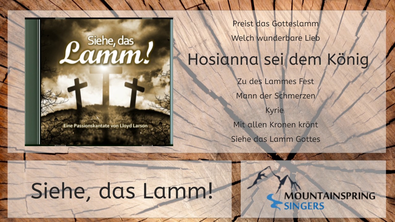 MountainSpringSingers - Siehe, das Lamm!