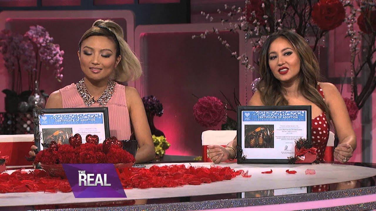 Cockroaches on Valentine’s Day?
