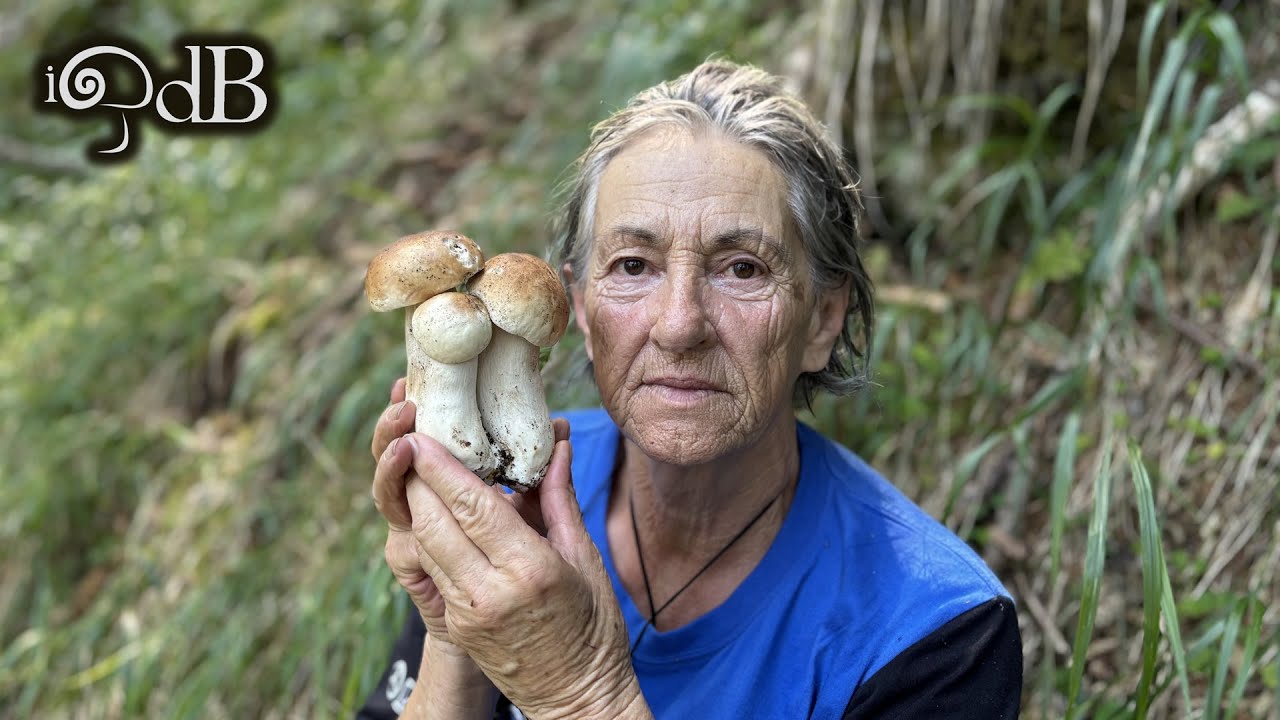 Porcini Edo #6 2025