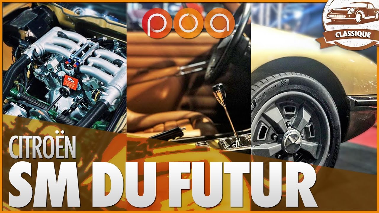 SM2・SM GENETIQUEMENT MODIFIEE