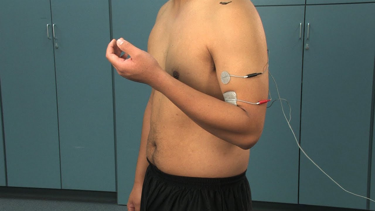 Elbow Flexion through EMS Muscle Stimulation