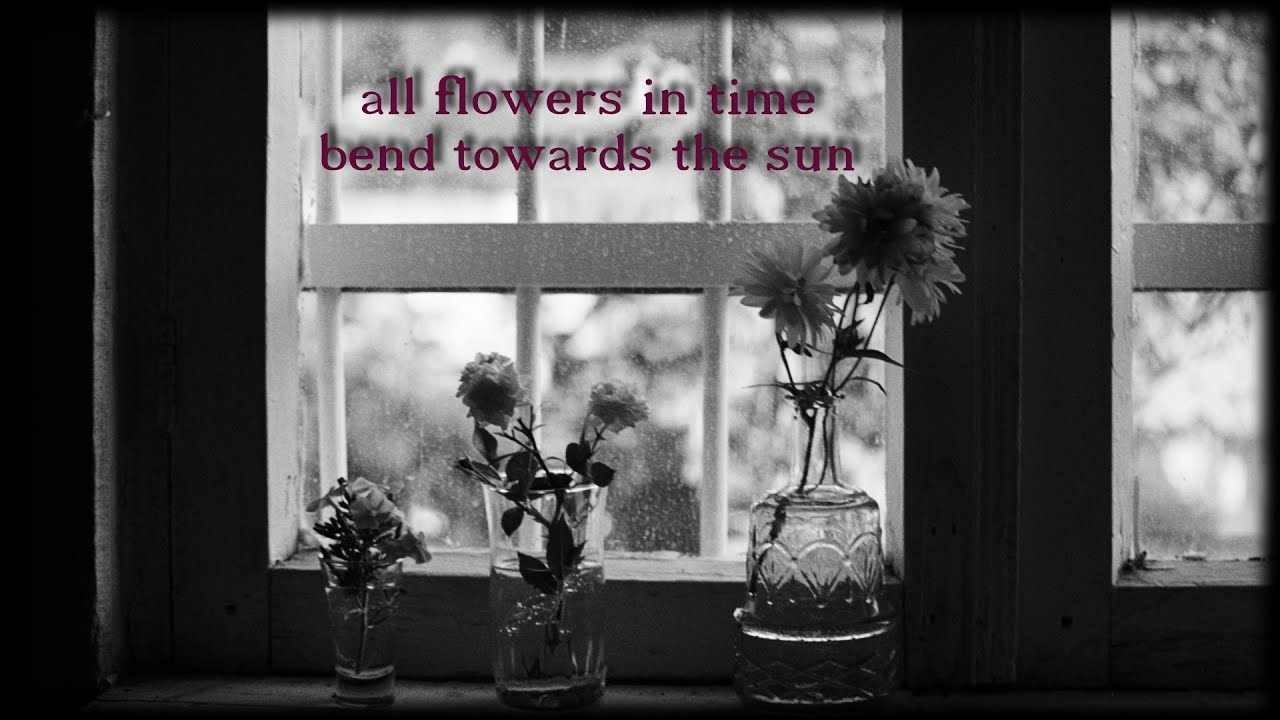 Jeff Buckley & Elizabeth Fraser - All Flowers in Time Bend Towards the Sun (Lyric Video)