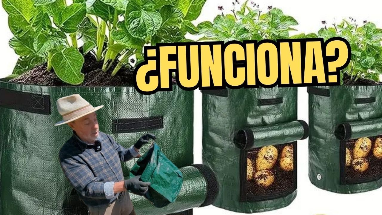 Probamos la BOLSA DE CULTIVO de TEMU para cultivar patatas, zanahorias y otros vegetales