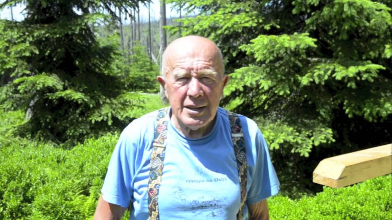 Šumava - Cesta na Modrý sloup