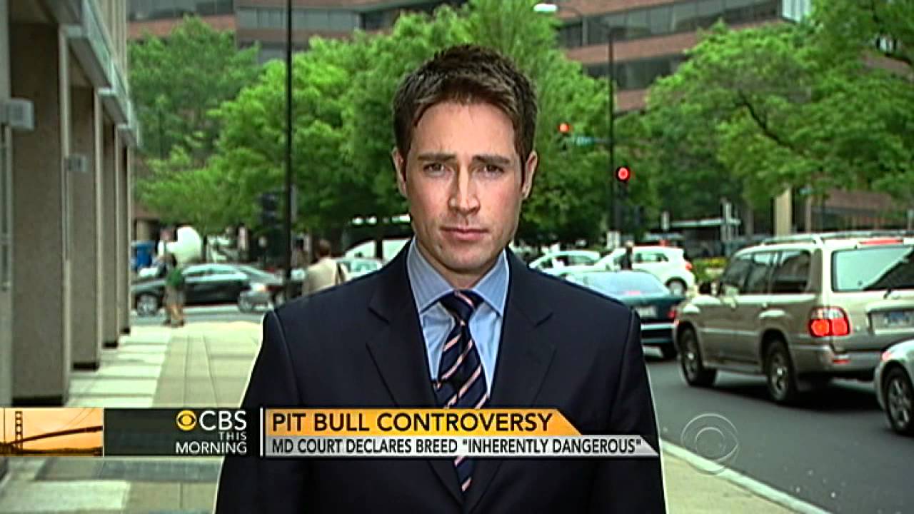Maryland court: Pit bulls 